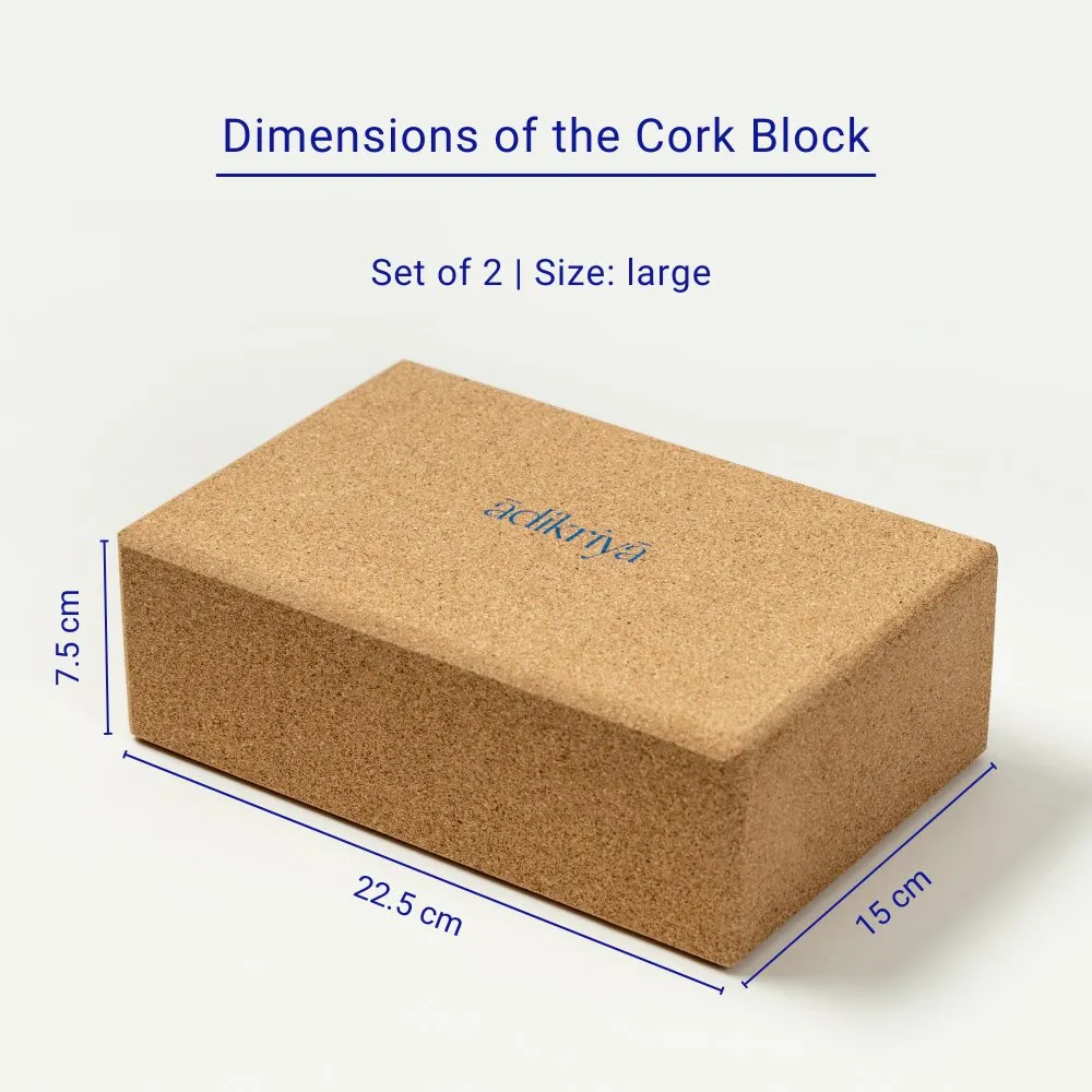 Cork Yoga Blocks (Set of 2)